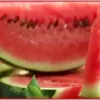 citrulline citrulline